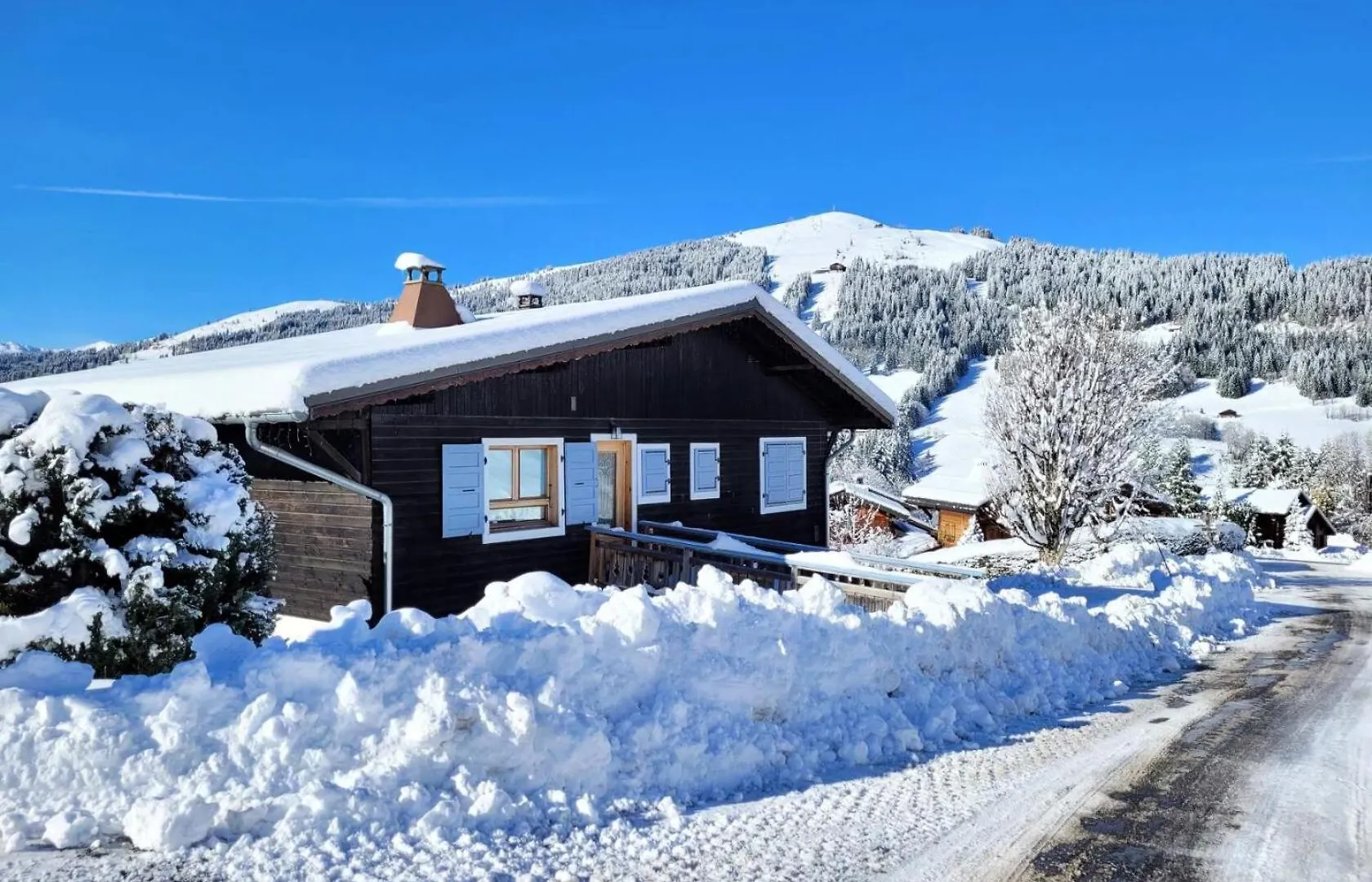 Chalet La Silene - Chalet De Charme Aux Chavannes Avec Vue Et Confort Mae-3411